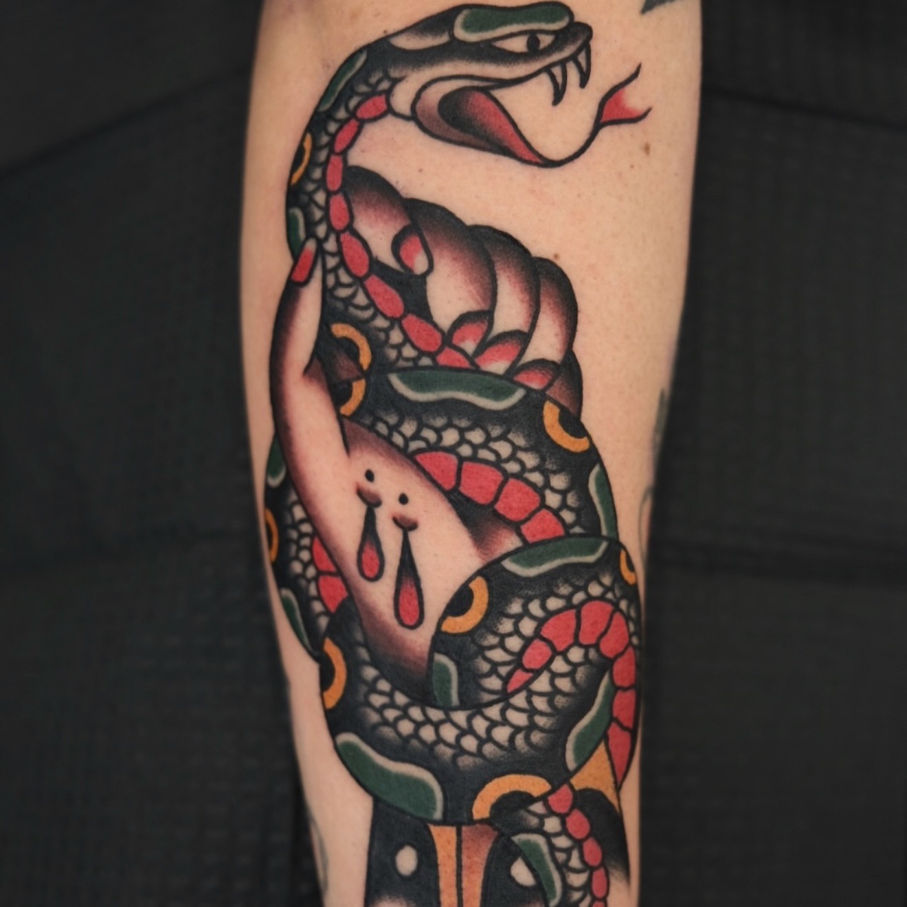 Zach Nelligan
