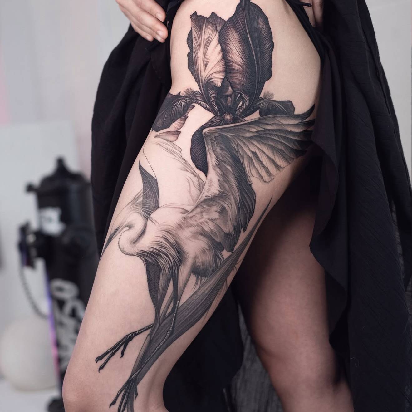 Sara Fabel